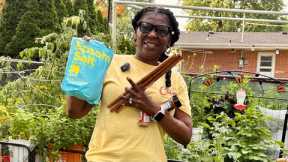 Gardening Tricks, I Didn’t Know!