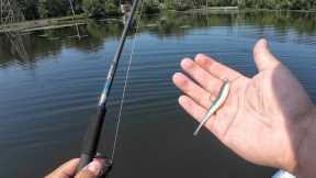 Beating Tough Conditions with My Hobbyist x Witch Doctor Rod! (Fishing Rod Masterclass)