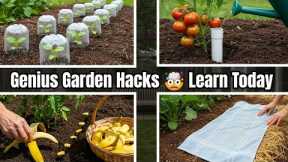 Gardening Hacks You'll Wish You Knew Sooner🔥