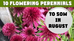 10 Cottage Garden PERENNIALS you need to SOW in AUGUST. Zones 3 to 10 #cutflowergarden #gardening