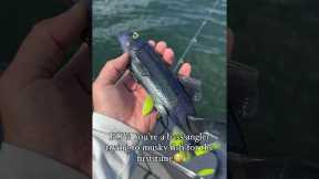 GIANT Musky Eat this STAR WARS Looking Fishing Lure?!