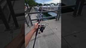 Fishing DOWNTOWN takes a wrong turn