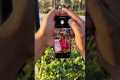 Photography Tricks Day 20 #tricks