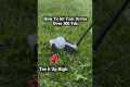 Try Out This Tip when you Go Out With 