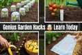 Gardening Hacks You'll Wish You Knew