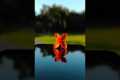 Try this Photography Idea with your