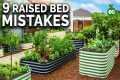 9 Beginner Raised Bed Garden Mistakes 