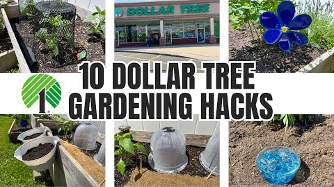 10 Dollar Tree Gardening Hacks ~ Ideas!!
