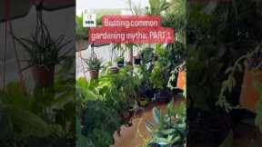 Common gardening myths! Know the TRUTH! #gardeningtips #greenthumb #indoorgardening #gardenideas