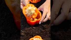 5 Genius Gardening Hacks You’ll Wish You Knew Sooner! 🌱😲 | #LifeHacks #GardeningTips