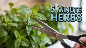 5 Easiest Herbs to Grow Indoors (Even If You Kill Plants)