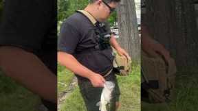 The clear A Rig gets the hogs! #bassfishing