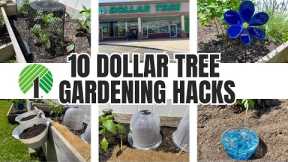 10 Dollar Tree Gardening Hacks ~ Ideas!!