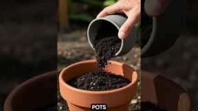5 Gardening Myths Busted! | Truth About Roots, Soil Change, Mothballs & More
