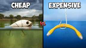 Cheap vs Expensive Fishing Challenge
