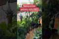 Common gardening myths! Know the