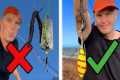 Sea Fishing Beginners Guide: 7 Tips i 