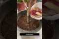 Turn Fruit Peels Into Powerful