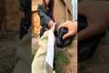 Teaching you photography tips that