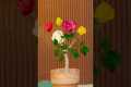Easy Gardening Hacks That Can
