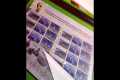 Some of the stamp sheets collection I 