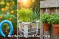 10 Dollar Tree Garden Hacks That Work 