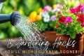 🌱 15 Gardening Hacks You’ll Wish You 
