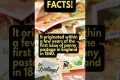 HOBBY FACTS! Did you know that the