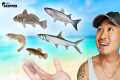 Fishing w/ 5 Kinds of LIVE Bait!