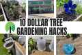 10 Dollar Tree Gardening Hacks ~