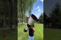 $20,000 camera vs iPhone 13 Pro Max!