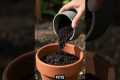 5 Gardening Myths Busted! | Truth