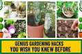 Genius Gardening Hacks That Actually