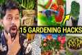 My 15 Gardening Hacks to Grow Plants, 