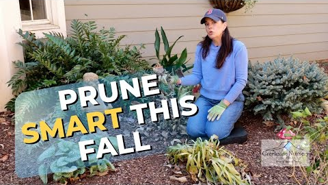 Fall Shade Garden Guide: Prune Smart, Plant Smart