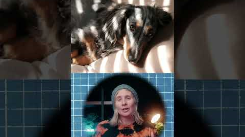 Photography hacks! #photography #hacks #photographylovers #photographylife #phototricks #sony #canon