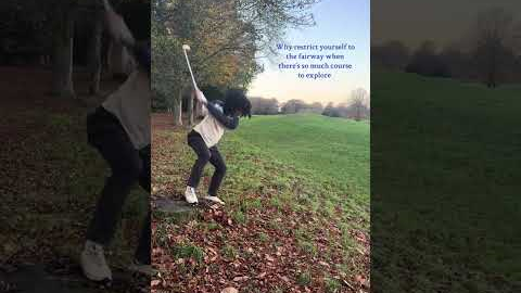 Put that on a tile please 😂⛳️