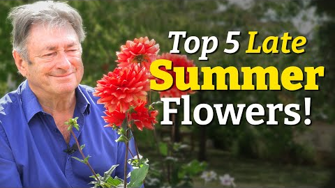 5 Stunning Late Summer Flowers You NEED in Your Garden