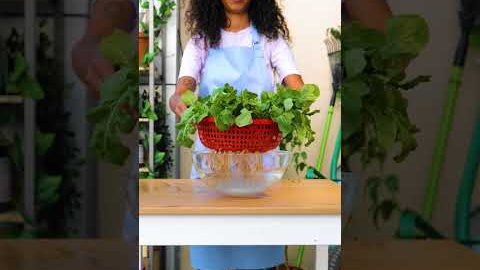 Easy gardening hacks for beginners! 🌿