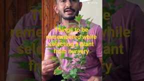 Selecting Right Plants For Our Garden #gardeningtips #gardening #plants #shorts #shortvideo