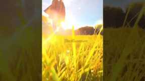 Unlock Your Photography Potential: Composition, Lighting, Editing Hacks #photographytips #framing