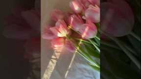 10 halal hobbies for women in Islam ✨🌼