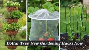 15 Dollar Tree Garden Hacks No One Talks About | Transform Your Garden