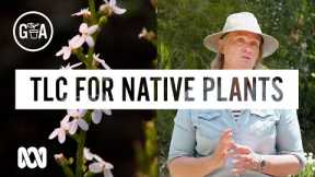 Native Plant Care Made Easy | Gardening 101 | Gardening Australia