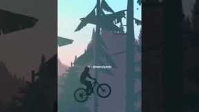 5 Unique Hobbies that People Have!  🌿🌳🔍🐦🧼