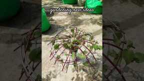 gardening new ideas #garden  #ideas #gardening #plants