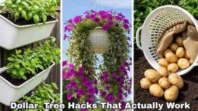 I Tried 10 Viral Dollar Tree Plant Hacks That Actually Work🌱🔥
