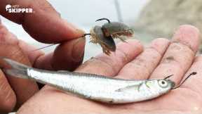 NO Bait!? — I Scavenged the Beach to Fish! (California Beach Fishing)