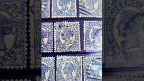 Hidden Secrets Inside a Stamp Collection!