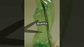 Garden Hacks That Actually Work!🌿 Top 4 Quick Tips!#gardeningideas #gardening #gardeningtips #plants